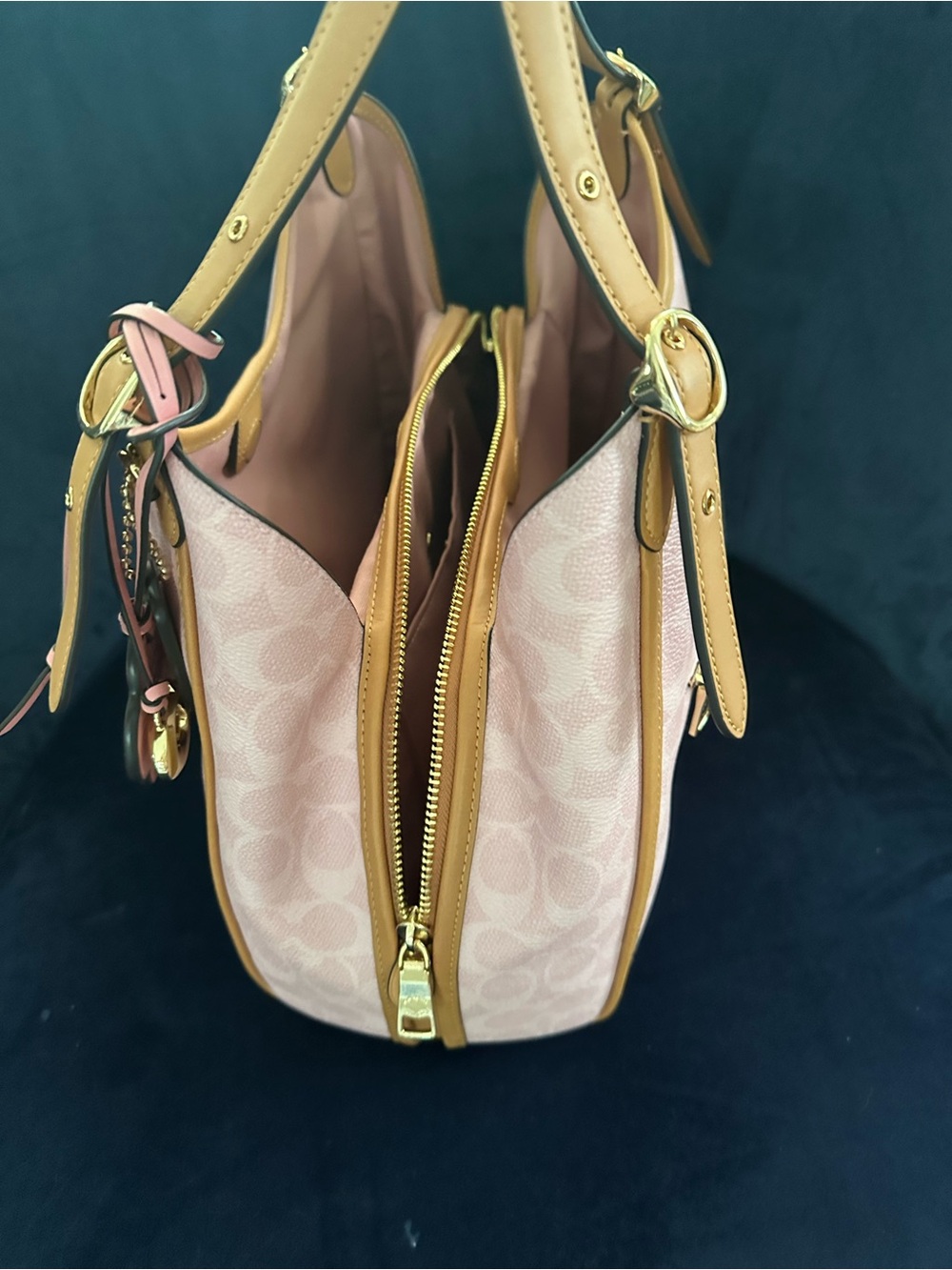 Coach Powder Pink Erin Bag - Picture 7 of 11